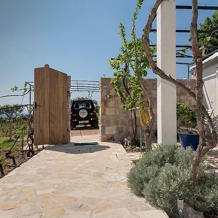 Holiday Home Vineyard House 波尔 外观 照片
