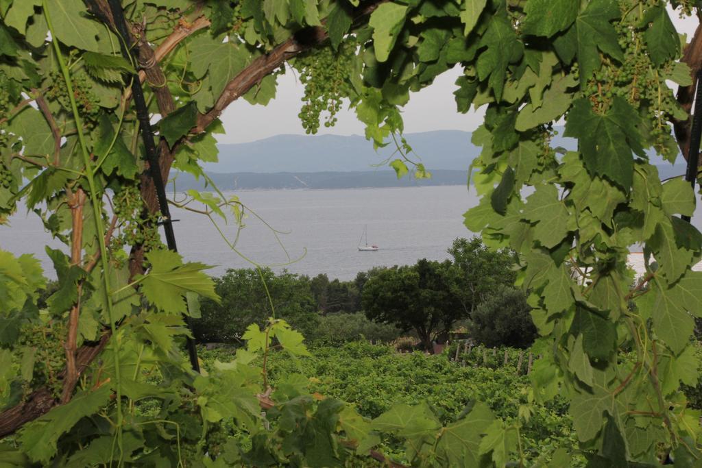 Holiday Home Vineyard House 波尔 客房 照片