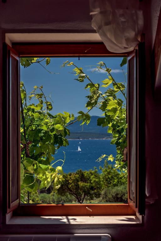 Holiday Home Vineyard House 波尔 外观 照片