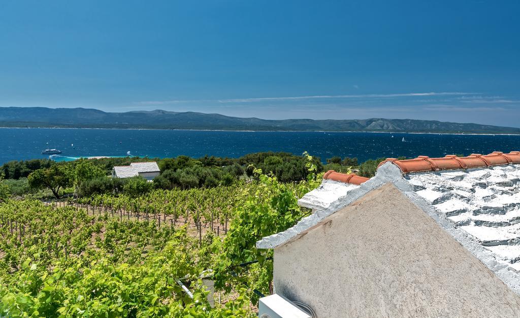 Holiday Home Vineyard House 波尔 外观 照片