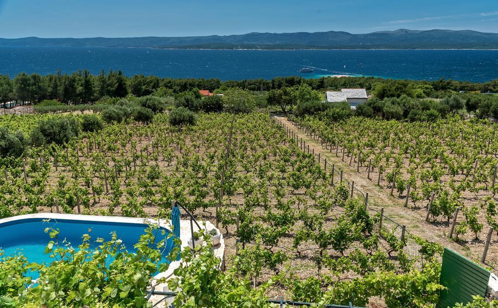 Holiday Home Vineyard House 波尔 外观 照片