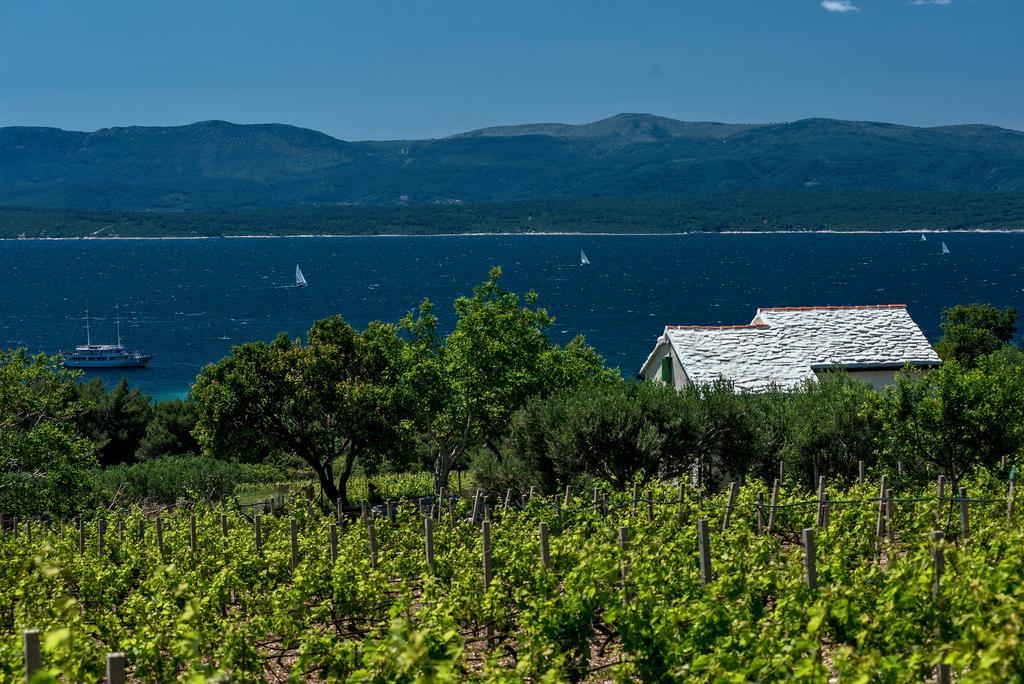 Holiday Home Vineyard House 波尔 外观 照片