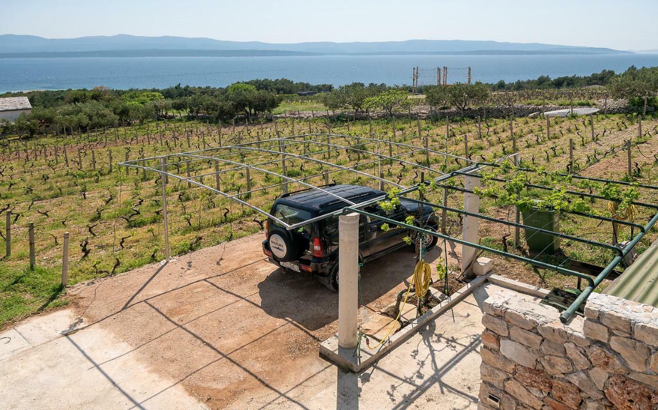 Holiday Home Vineyard House 波尔 外观 照片