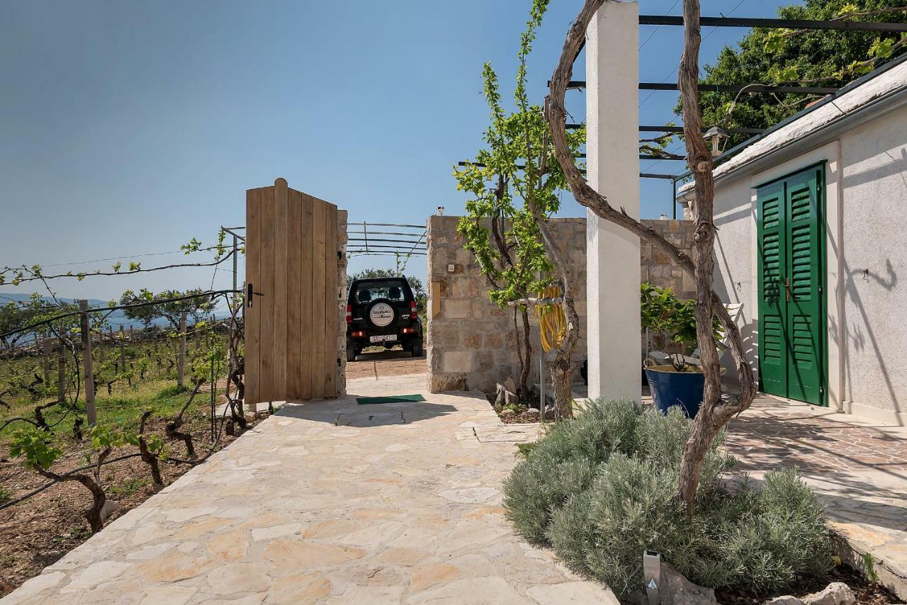 Holiday Home Vineyard House 波尔 外观 照片