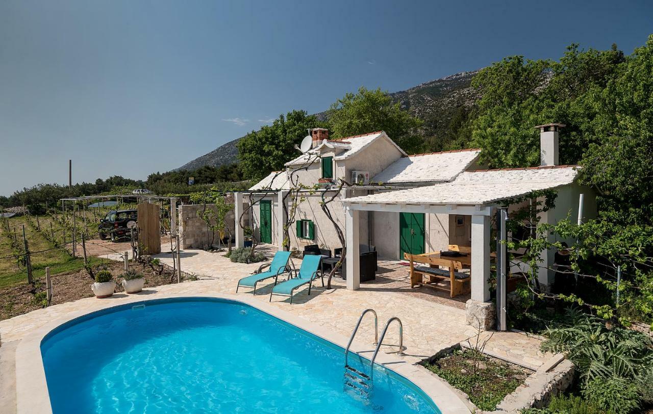 Holiday Home Vineyard House 波尔 外观 照片
