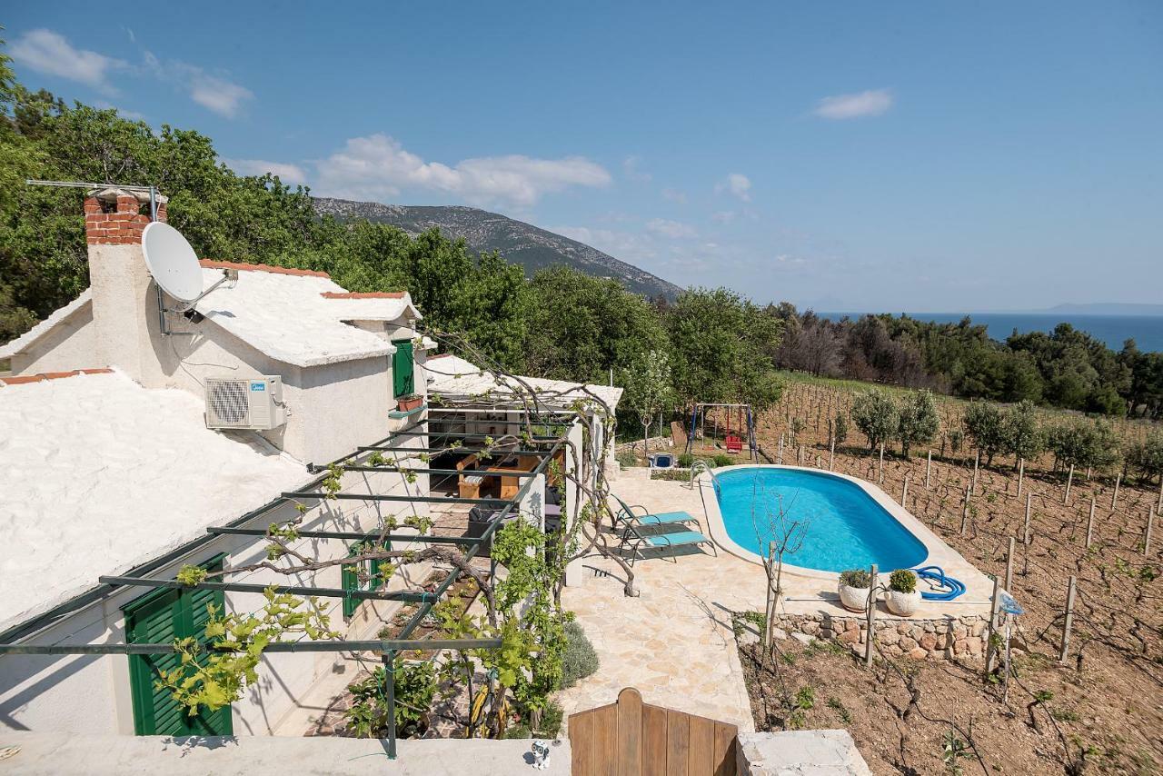 Holiday Home Vineyard House 波尔 外观 照片