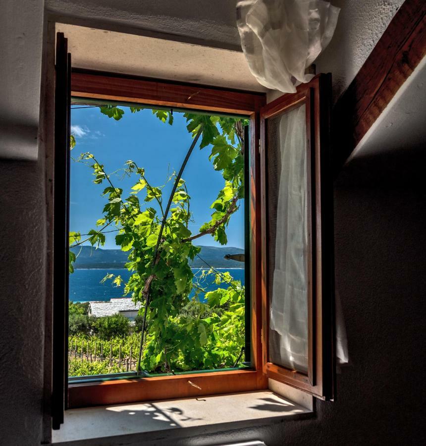 Holiday Home Vineyard House 波尔 外观 照片